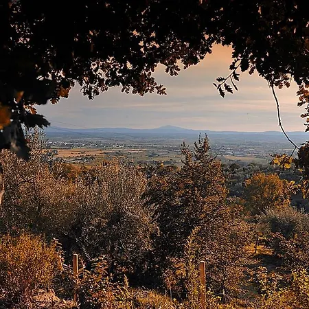 Orizzonte Villa Cortona